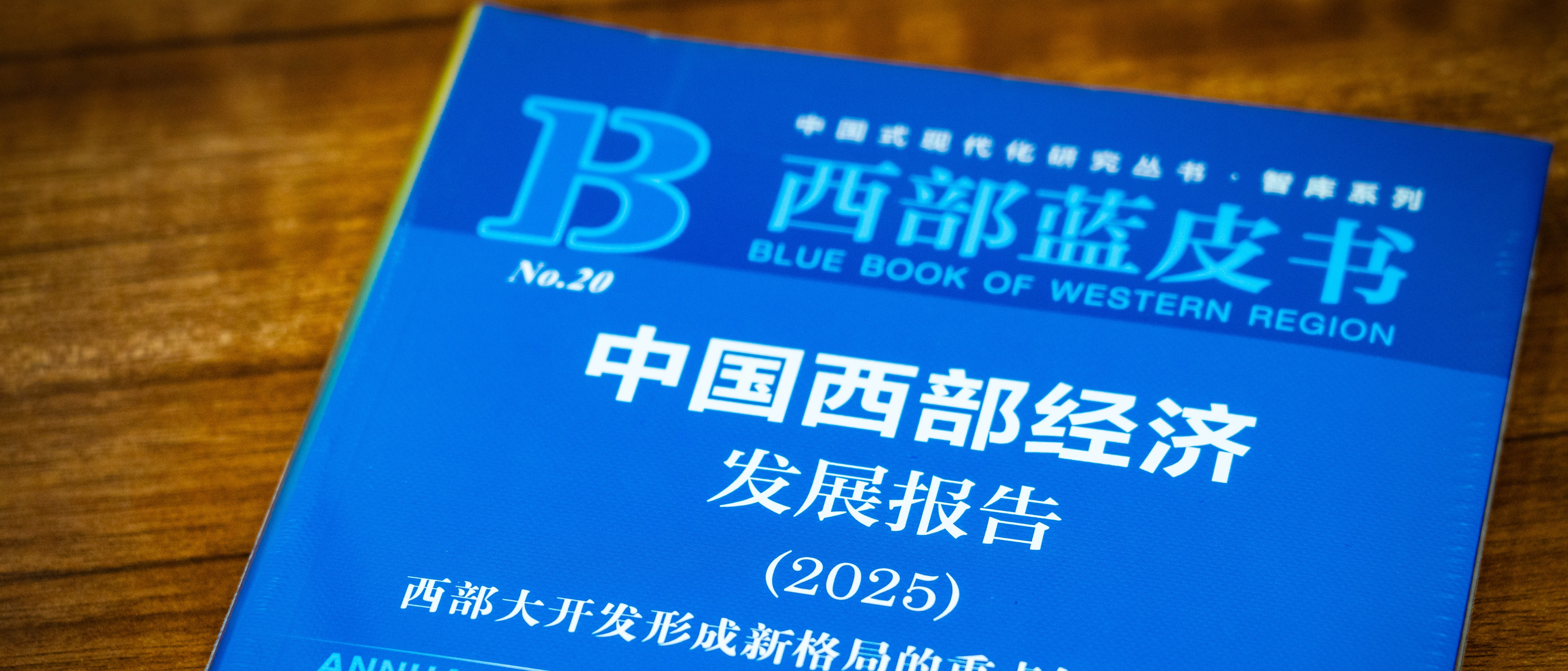 《中国西部经济发展报告（2025）》发布会在威尼斯官网举行