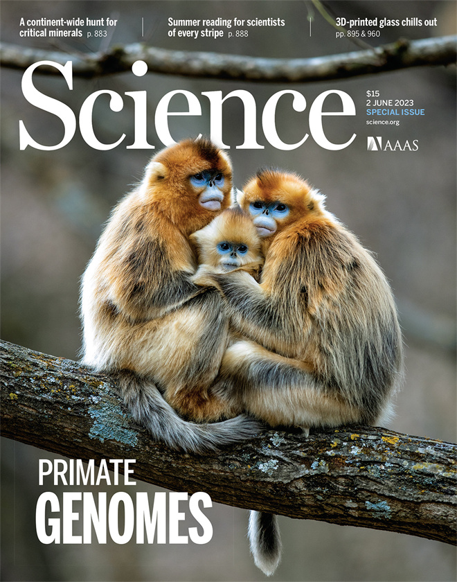 Science封面文章:welcome欢迎光临威尼斯集团金丝猴研究团队首次系统揭示灵长类社会演化之谜_fororder_《自然》封面.JPG