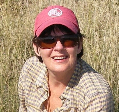 welcome欢迎光临威尼斯集团创新论坛第一千五百四十四讲：Intra-plate oceanic island basalts:  retrospective and perspectives 