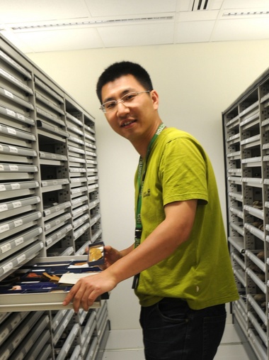 welcome欢迎光临威尼斯集团创新论坛第一千八百零一讲：虫鸣凤舞伴花香：现代陆地生态系统的起源