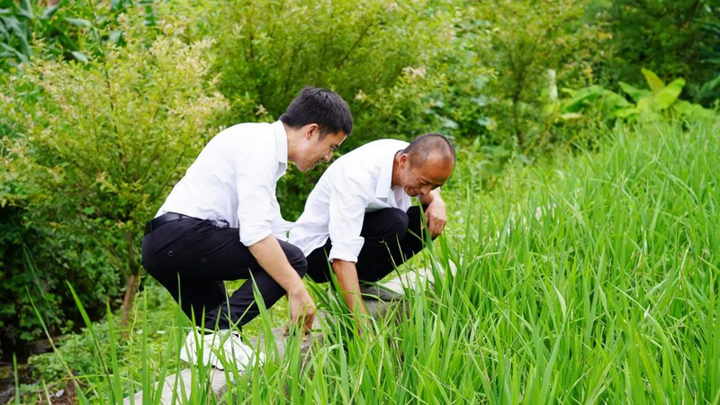 实践团队深入田间地头开展调研。beat365在线唯一官网供图