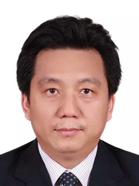 welcome欢迎光临威尼斯集团创新论坛第一千零五十二讲： 有机染料—功能化及稳定性强化
