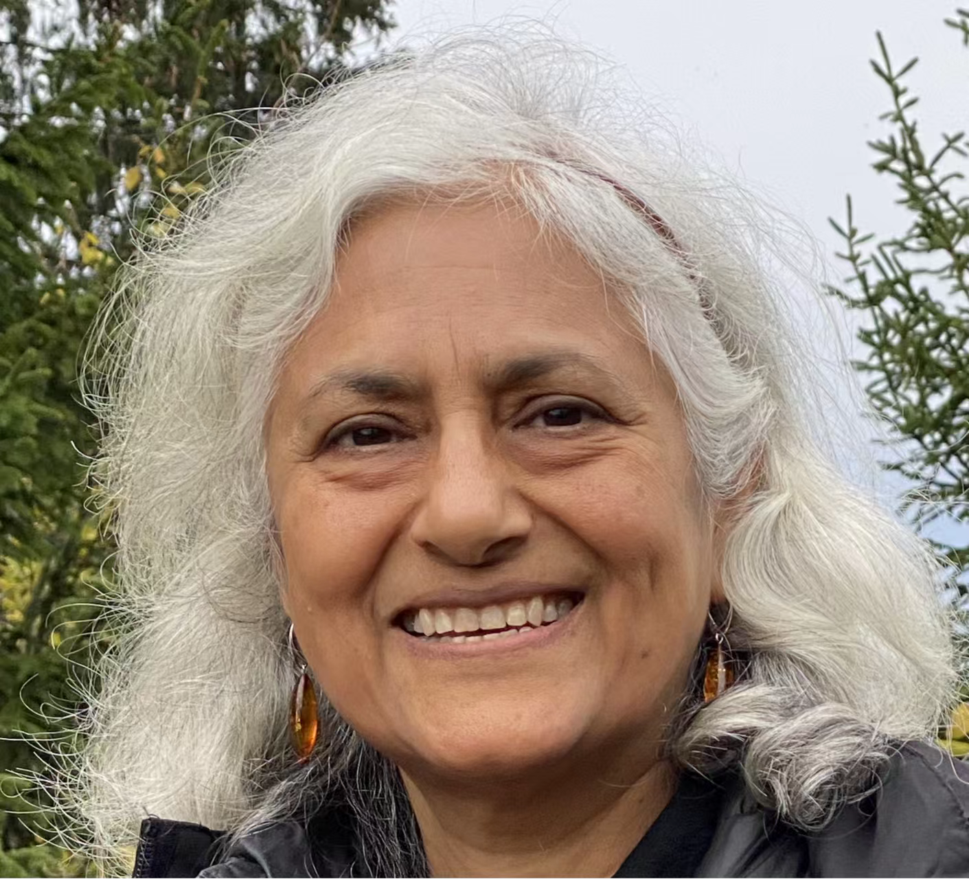 welcome欢迎光临威尼斯集团创新论坛第一千七百三十九讲：Fractionalized excitations in Quantum Spin Liquids and their Detection